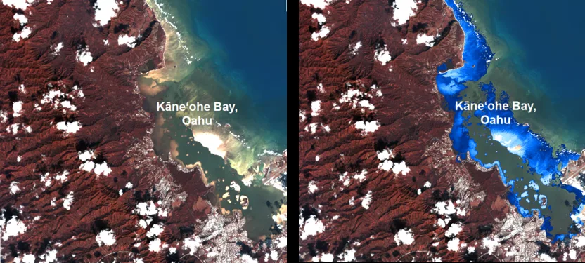 Perbandingan berdampingan citra satelit WorldView dan estimasi batimetri turunan satelit yang dihasilkan darinya